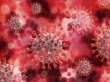 В Саратовской области выявлено еще 94 заболевших коронавирусом